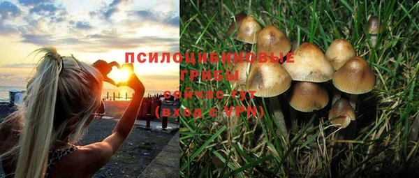 прущая мука Магас