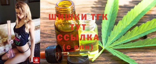крисы Алексин